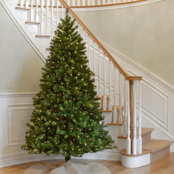 Pre-Lit Spruce 7.5  Christmas Tree with 550 Clear White Lights, OG327 Online Sale