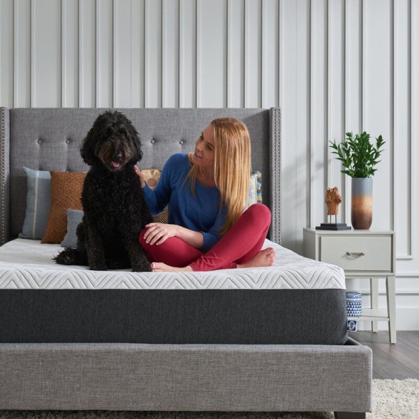 Sealy CopperChill 12  Medium Memory Foam QUEEN Mattress, 7538RR Cheap - Image 4